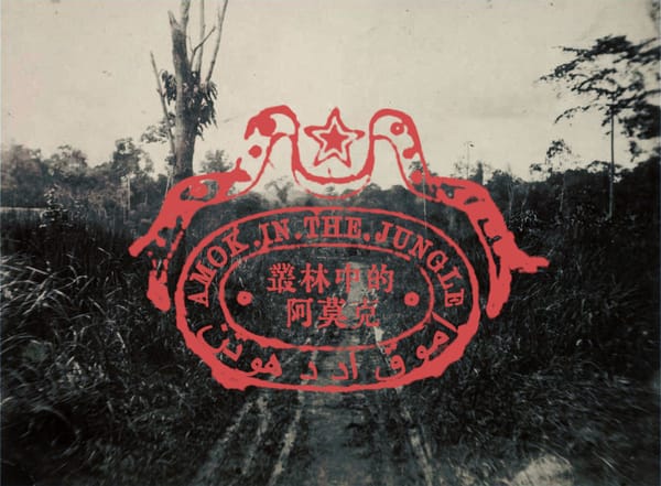 đĻ Notes from the Jungle - Edition #1 đĻ
